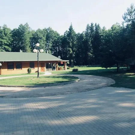 Vanago Lizdas Druskininkai