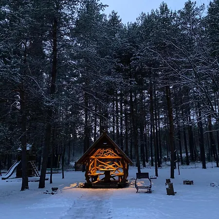 Vanago Lizdas * Друскининкай