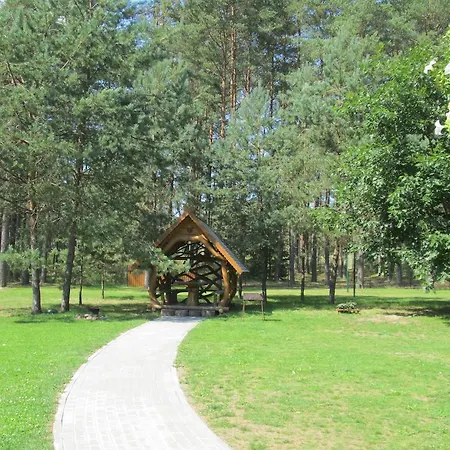 Vanago Lizdas Druskininkai