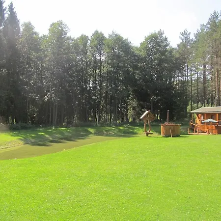 Вилла Vanago Lizdas Друскининкай