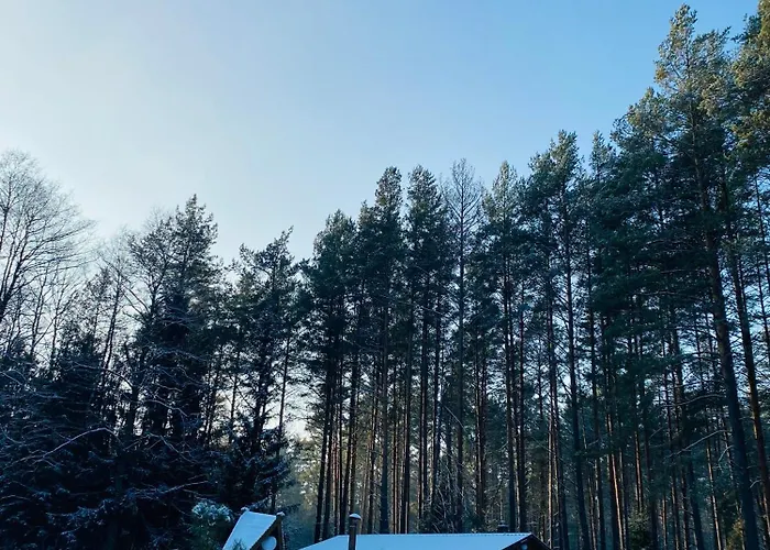 Villa Vanago Lizdas *