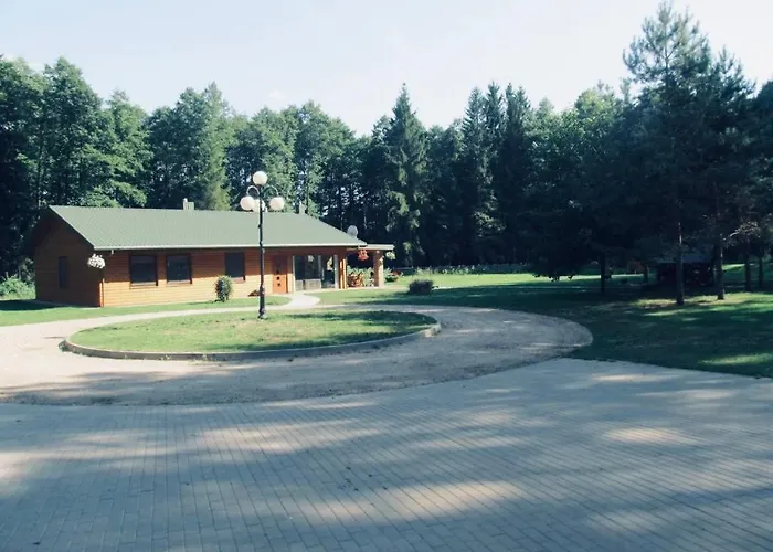 Vanago Lizdas Druskininkai