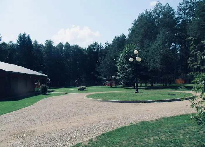 Vanago Lizdas * Druskininkai