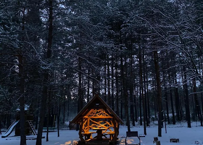 Vanago Lizdas * Druskininkai