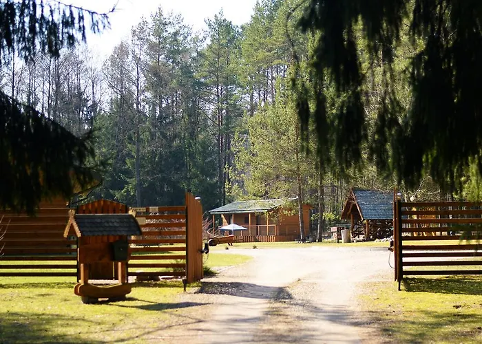 Vanago Lizdas Druskininkai