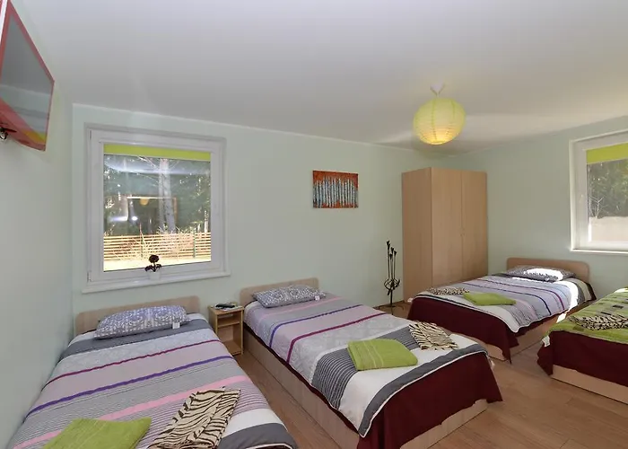 Vanago Lizdas Druskininkai