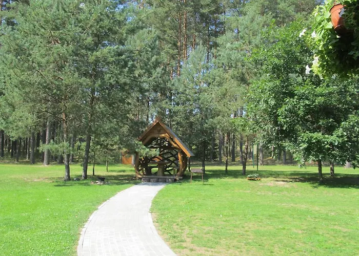 Vanago Lizdas Druskininkai