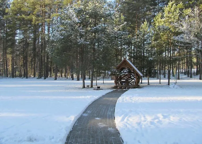 Villa Vanago Lizdas *